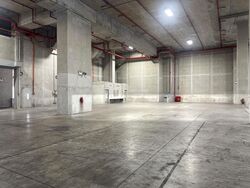 Imm Building (D22), Warehouse #565741071